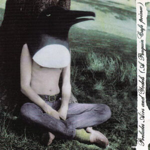 Penguin Cafe Orchestra - Preludes, Airs & Yodels (A Penguin Cafe Primer)