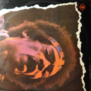 Jimi Hendrix - Fabuloso Jimi Hendrix