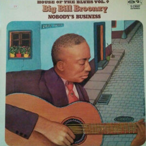 Big Bill Broonzy - Nobody's Business